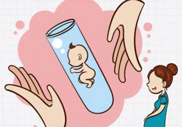 狗狗怀孕