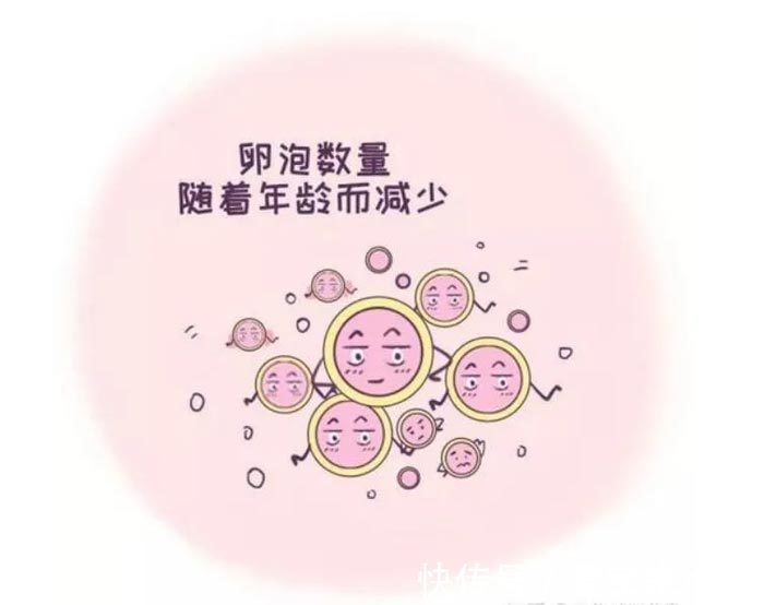 爸爸