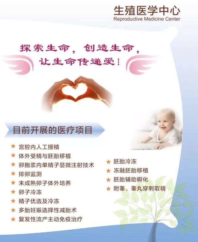 狗预产期怎么算