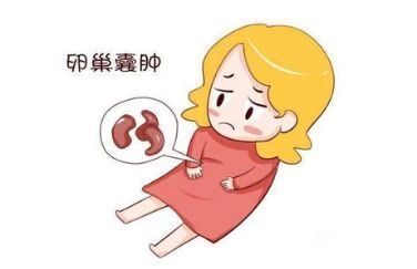 狗狗怀孕7天
