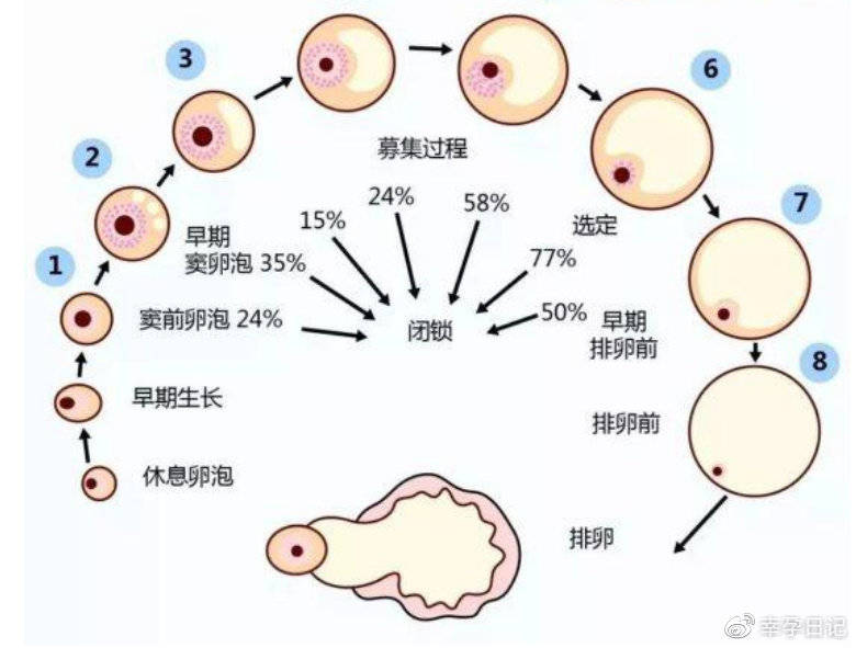 生了女儿的爸爸