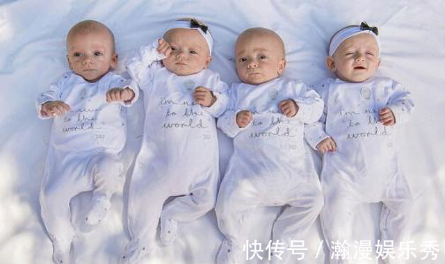 狗狗预产期