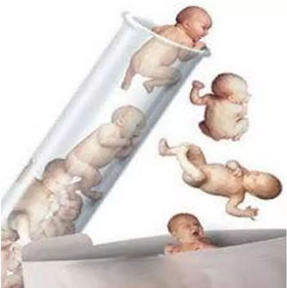 狗狗尿道口滴血