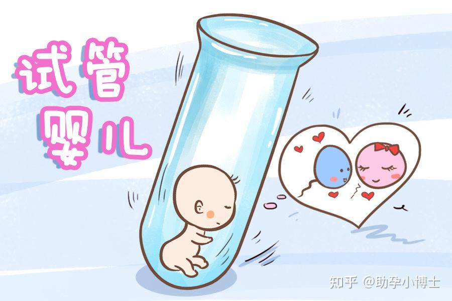 狗狗尿道口滴血