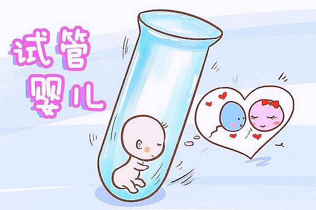 小猫喂养