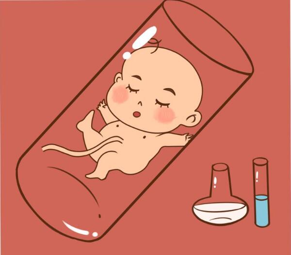狗狗怀孕
