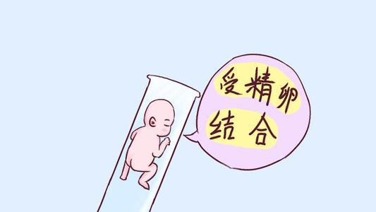 玉米不育系