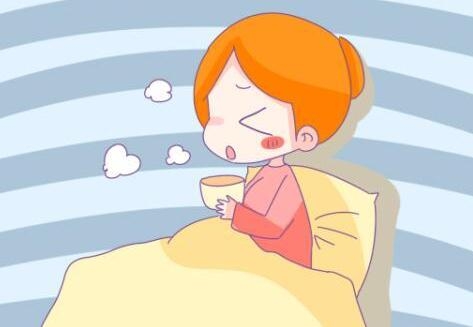 狗狗怀孕
