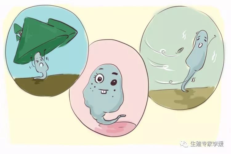 生产视频顺产全程记录电视剧
