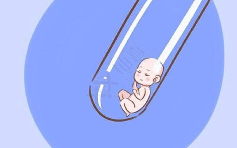 怀孕周期