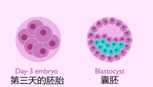 男性孕检