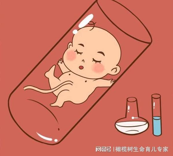 男性孕前检查