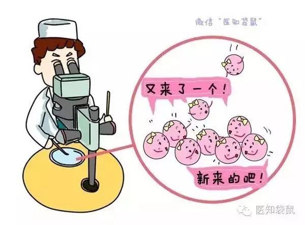 男方孕前检查
