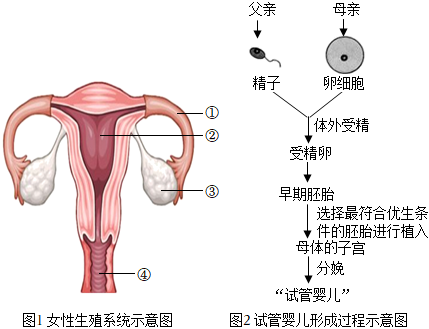 男朋友妈妈生日