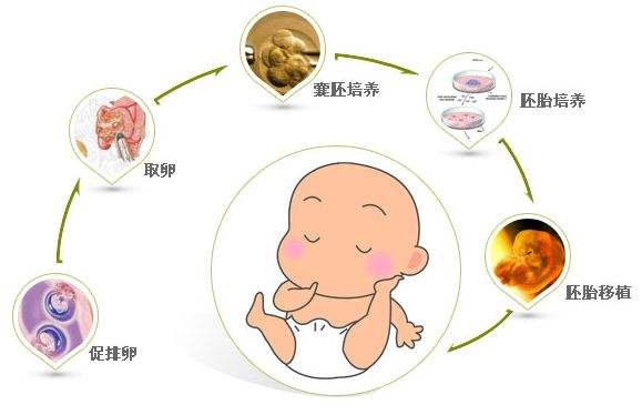 男性尖锐湿疣