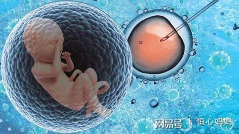 生育能力