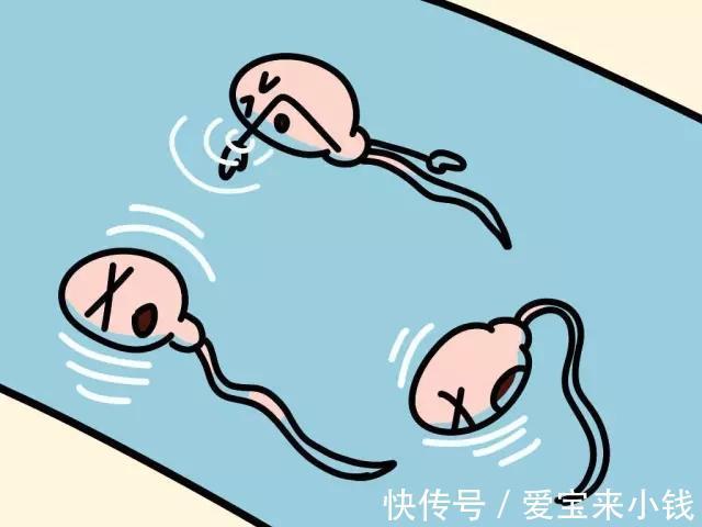男性孕检