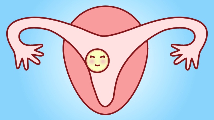 男性备孕