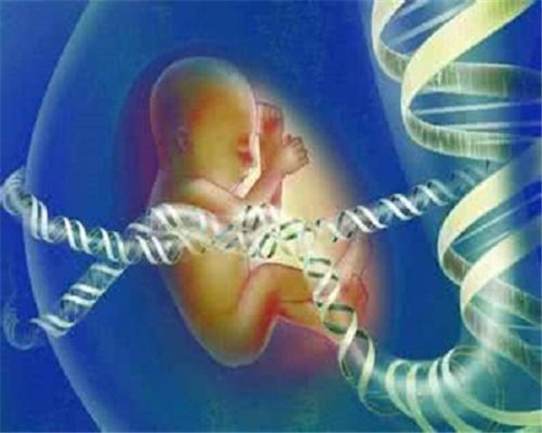 男性孕检