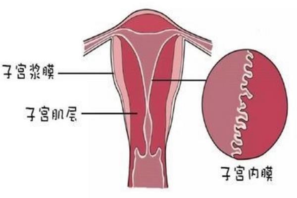 男方入狱