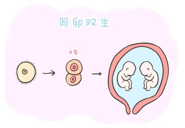 男性性功能