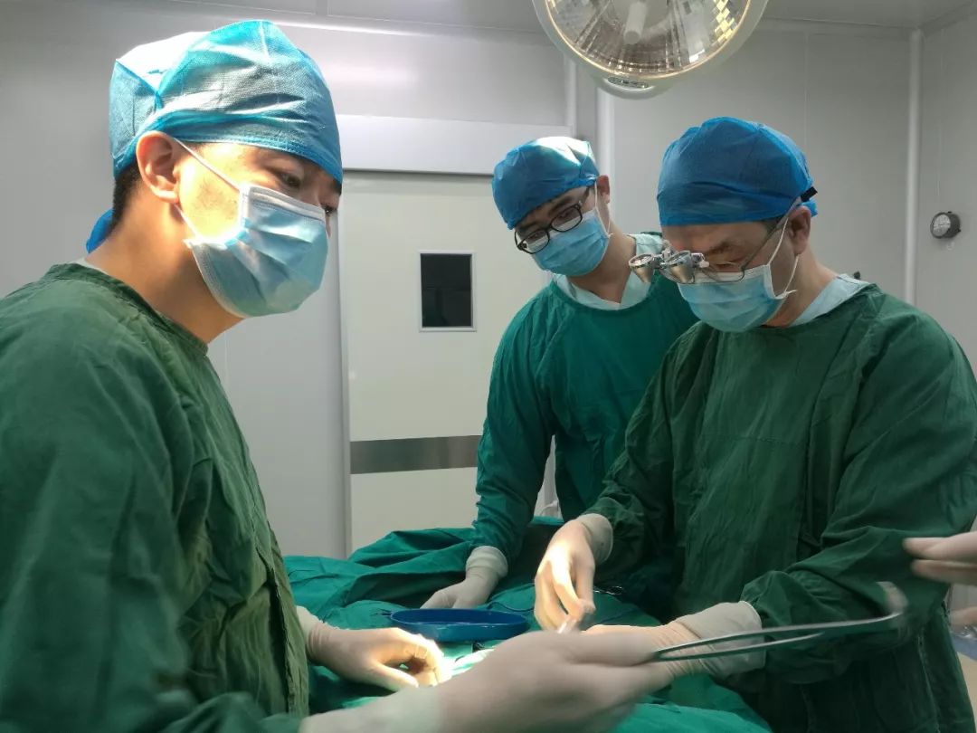 男人女人吃什么容易怀女孩