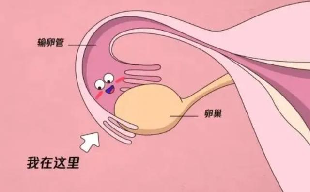 昆明私人机构